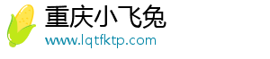 重庆小飞兔